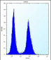 LGALS4 Antibody (N-term)