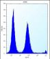 POLR2G Antibody (C-term)