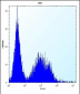 TSSK6 Antibody (C-term)