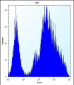 MINA Antibody (N-term)