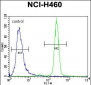 IL6 Antibody (Center)