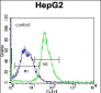 APG8b(MAP1LC3B) Antibody (N-term T29)