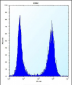 CCT8 Antibody (C-term)