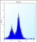 PEX14 Antibody (Center)