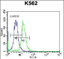 ABCD2 Antibody (C-term)