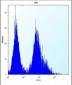 CDKN2B Antibody (C-term)