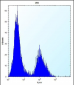 CLDN2 Antibody (C-term Y195)