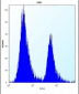 PEG10 Antibody (N-term)