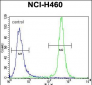 GABRA4 Antibody (Center)