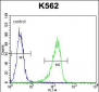 Metabotropic Glutamate Receptor 6 (GPRC1F) Antibody (C-term)