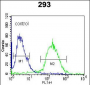 NAP1L1 Antibody (C-term)