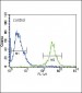 FRK Antibody (N-term)