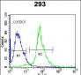 SRPK1 Antibody (C-term)