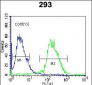 DUSP3 Antibody (C-term)