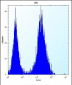 CDCA8 Antibody (N-term)