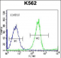 RPS4Y1 Antibody (Center)