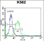 DOC2A Antibody (Center)