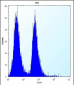 MLM Antibody (C-term)