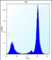 MOBKL1B Antibody (N-term)