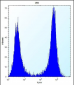 CTSK Antibody (Center E112)