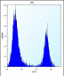 FKBP7 Antibody (C-term)