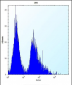 GSTT1 Antibody (N-term)