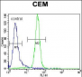 PPARA Antibody (Center)