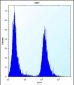 SERPINE1 Antibody (Center)