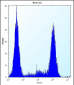 ZCRB1 Antibody (C-term)