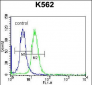 FSHB/FSH Antibody (Center)