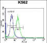 HIST1H2AB Antibody (N-term)