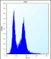 PI15 Antibody (N-term)