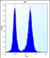 PHF5A Antibody (C-term)