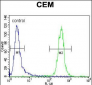 TNF Antibody (C-term)