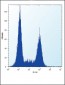 TLR9 Antibody (C-term)