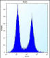 CD27 Antibody (C-term)