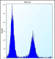 DCBLD2 Antibody (C-term)