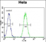 BMP2 Antibody (Center)