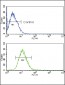 TLR2 Antibody (N-term)