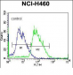 MINPP1 Antibody (C-term)