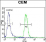 DISC1 Antibody (C-term)