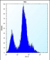 CD55 Antibody (N-term)