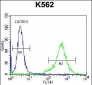 PRL Antibody (C-term)