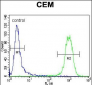 ATF3 Antibody (C-term)