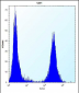 TGFBI Antibody (N-term)