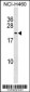 FUNDC1 Antibody (N-term)