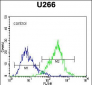 CD138 Antibody (C-term) (Ascites)