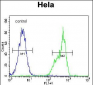 TYSY Antibody(C-term)