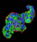 TYSY Antibody(C-term)