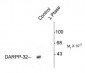 Phospho-Thr34 DARPP-32 Antibody